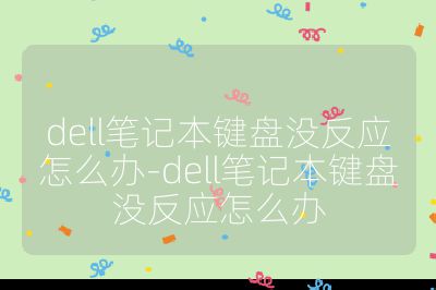 dell笔记本键盘没反应怎么办-dell笔记本键盘没反应怎么办