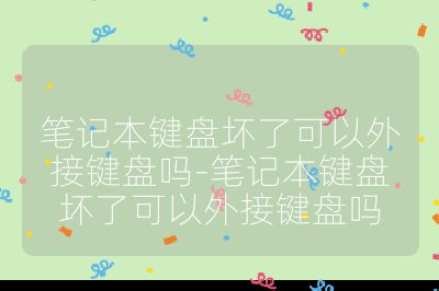 笔记本键盘坏了可以外接键盘吗-笔记本键盘坏了可以外接键盘吗