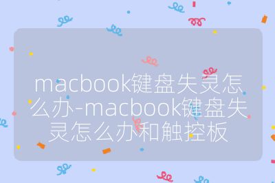 macbook键盘失灵怎么办-macbook键盘失灵怎么办和触控板