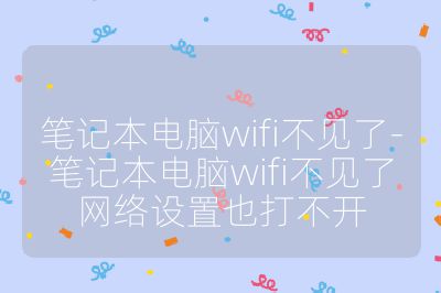 笔记本电脑wifi不见了-笔记本电脑wifi不见了网络设置也打不开
