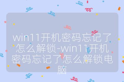 win11开机密码忘记了怎么解锁-win11开机密码忘记了怎么解锁电脑