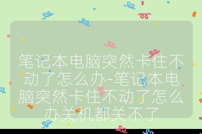 笔记本电脑突然卡住不动了怎么办-笔记本电脑突然卡住不动了怎么办关机都关不了