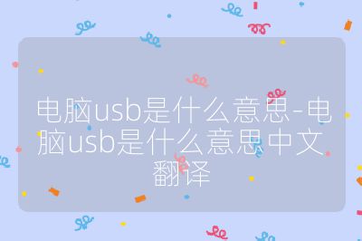 电脑usb是什么意思-电脑usb是什么意思中文翻译