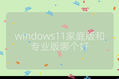 windows11家庭版和专业版哪个好
