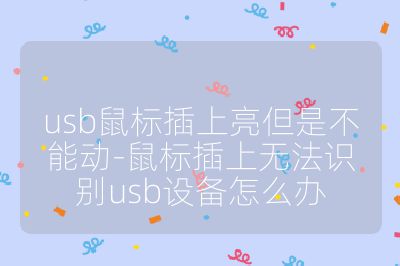 usb鼠标插上亮但是不能动-鼠标插上无法识别usb设备怎么办