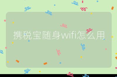 携税宝随身wifi怎么用