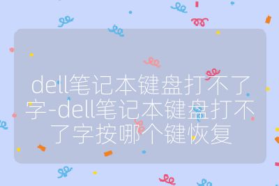 dell笔记本键盘打不了字-dell笔记本键盘打不了字按哪个键恢复