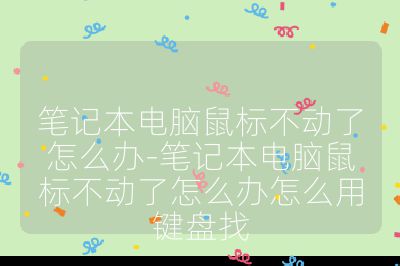 笔记本电脑鼠标不动了怎么办-笔记本电脑鼠标不动了怎么办怎么用键盘找