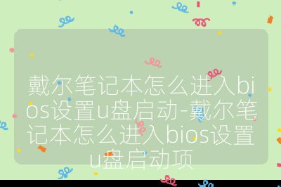 戴尔笔记本怎么进入bios设置u盘启动-戴尔笔记本怎么进入bios设置u盘启动项