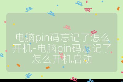 电脑pin码忘记了怎么开机-电脑pin码忘记了怎么开机启动