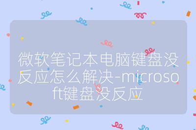 微软笔记本电脑键盘没反应怎么解决-microsoft键盘没反应