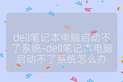 dell笔记本电脑启动不了系统-dell笔记本电脑启动不了系统怎么办