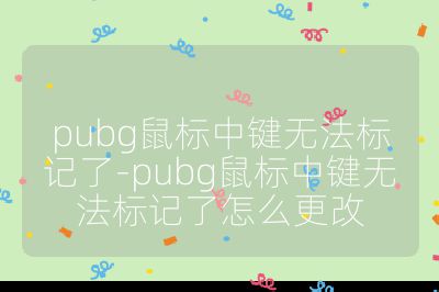 pubg鼠标中键无法标记了-pubg鼠标中键无法标记了怎么更改
