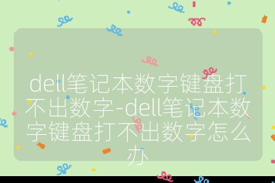 dell笔记本数字键盘打不出数字-dell笔记本数字键盘打不出数字怎么办