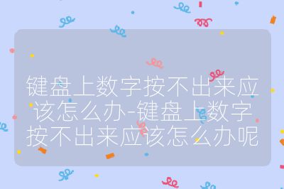 键盘上数字按不出来应该怎么办-键盘上数字按不出来应该怎么办呢