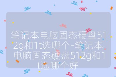 笔记本电脑固态硬盘512g和1t选哪个-笔记本电脑固态硬盘512g和1t选哪个好