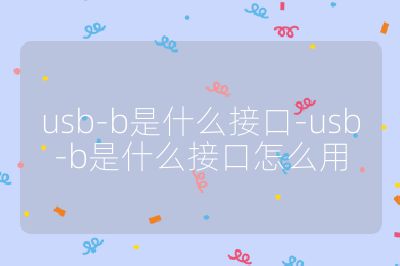 usb-b是什么接口-usb-b是什么接口怎么用