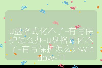 u盘格式化不了-有写保护怎么办-u盘格式化不了-有写保护怎么办window-11