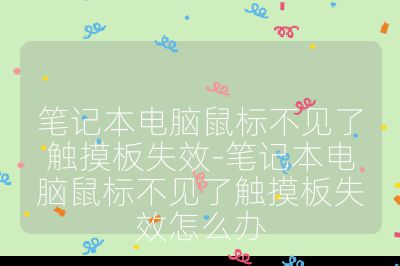 笔记本电脑鼠标不见了触摸板失效-笔记本电脑鼠标不见了触摸板失效怎么办