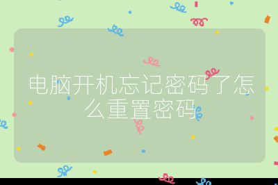 电脑开机忘记密码了怎么重置密码