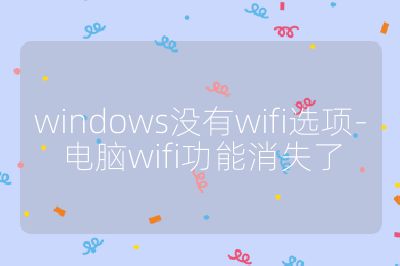 windows没有wifi选项-电脑wifi功能消失了
