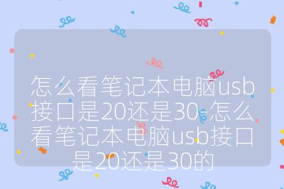 怎么看笔记本电脑usb接口是20还是30-怎么看笔记本电脑usb接口是20还是30的