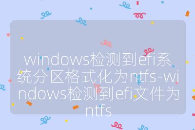 windows检测到efi系统分区格式化为ntfs-windows检测到efi文件为ntfs