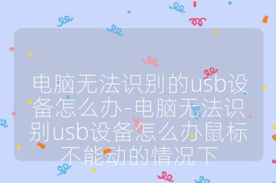 电脑无法识别的usb设备怎么办-电脑无法识别usb设备怎么办鼠标不能动的情况下