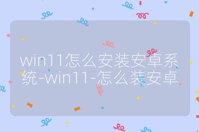 win11怎么安装安卓系统-win11-怎么装安卓