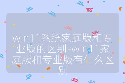 win11系统家庭版和专业版的区别-win11家庭版和专业版有什么区别