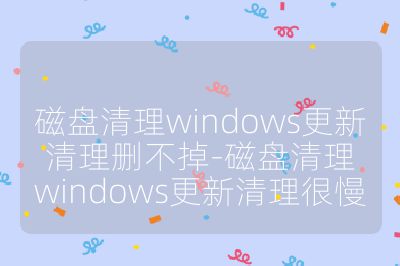 磁盘清理windows更新清理删不掉-磁盘清理windows更新清理很慢