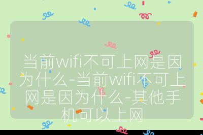 当前wifi不可上网是因为什么-当前wifi不可上网是因为什么-其他手机可以上网