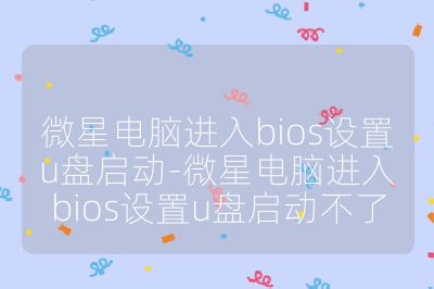 微星电脑进入bios设置u盘启动-微星电脑进入bios设置u盘启动不了