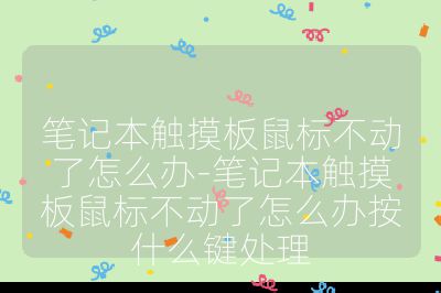 笔记本触摸板鼠标不动了怎么办-笔记本触摸板鼠标不动了怎么办按什么键处理