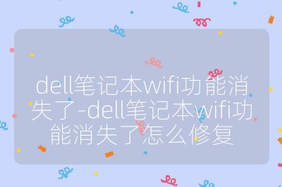 dell笔记本wifi功能消失了-dell笔记本wifi功能消失了怎么修复