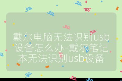 戴尔电脑无法识别usb设备怎么办-戴尔笔记本无法识别usb设备