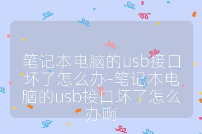 笔记本电脑的usb接口坏了怎么办-笔记本电脑的usb接口坏了怎么办啊