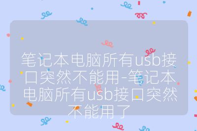笔记本电脑所有usb接口突然不能用-笔记本电脑所有usb接口突然不能用了