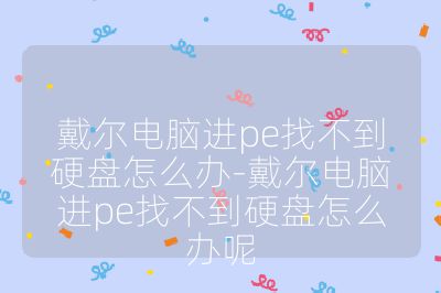 戴尔电脑进pe找不到硬盘怎么办-戴尔电脑进pe找不到硬盘怎么办呢