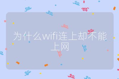 为什么wifi连上却不能上网
