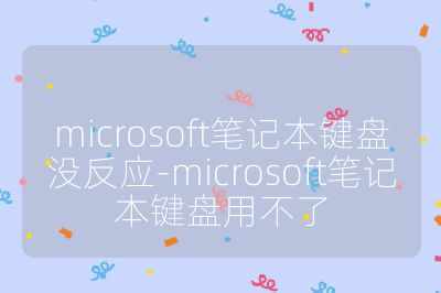 microsoft笔记本键盘没反应-microsoft笔记本键盘用不了
