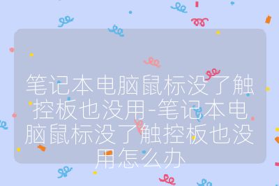 笔记本电脑鼠标没了触控板也没用-笔记本电脑鼠标没了触控板也没用怎么办