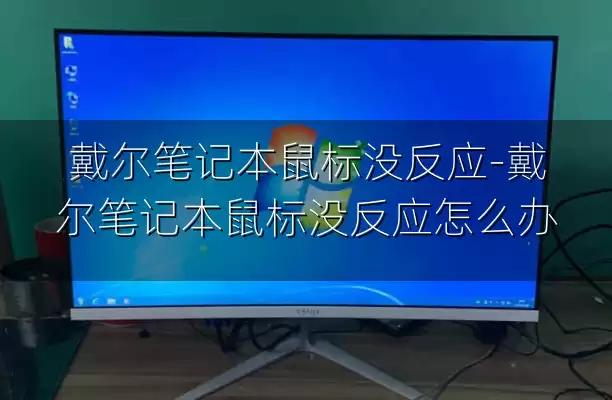 戴尔笔记本鼠标没反应-戴尔笔记本鼠标没反应怎么办